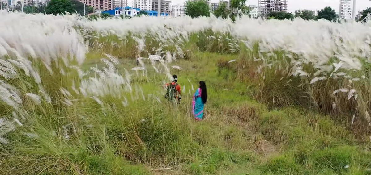 দিয়াবাড়ি